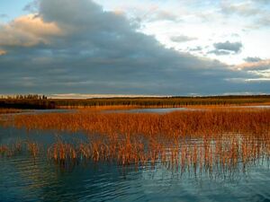 engures lake evening