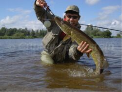 pike swedish lapland