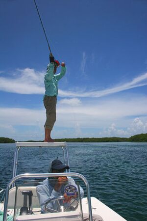 waiting for rolling tarpon