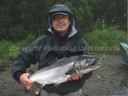 Bolshaya silver salmon