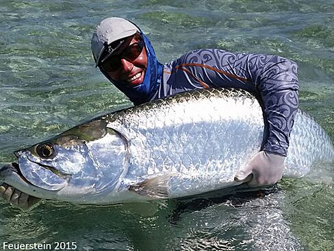 Paredon tarpon