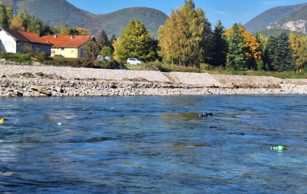 Korruption am Lim zerstört Huchenhabitat