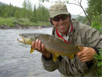 brown trout sweden