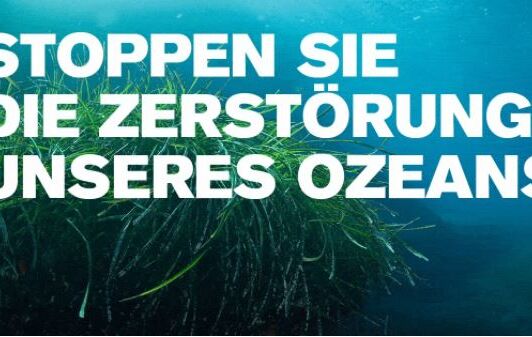 Stoppen Sie die Zerstörung unseres Ozeans