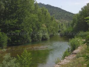 Tevere Tailwater