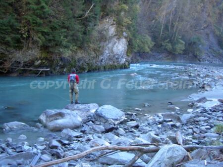 salzach fly fishing