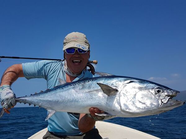 False Albacore in Montenegro