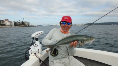 Fly Fishing Sydney Harbour