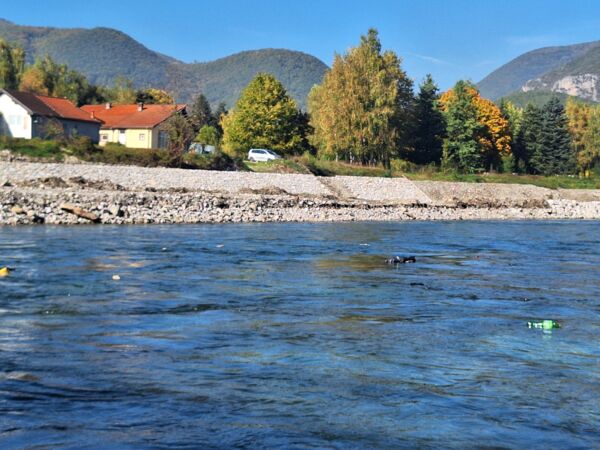 Korruption am Lim zerstört Huchenhabitat