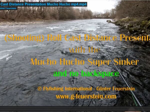 Qualities of a good Hucho Shooting head