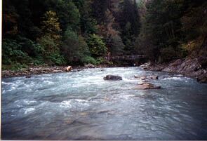 kleine Isel fly fishing Günter Feuerstein