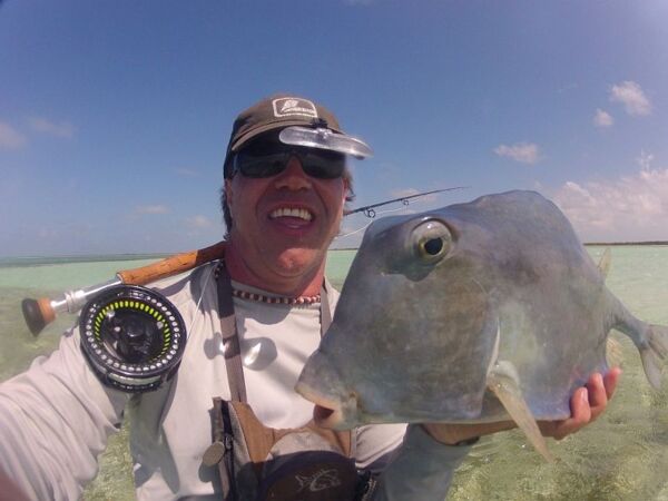 trunkfish Paredon Cuba