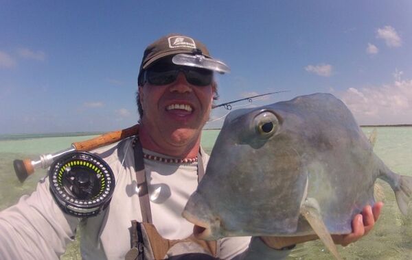 trunkfish Paredon Cuba