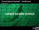 Farmed Salmon Exposed