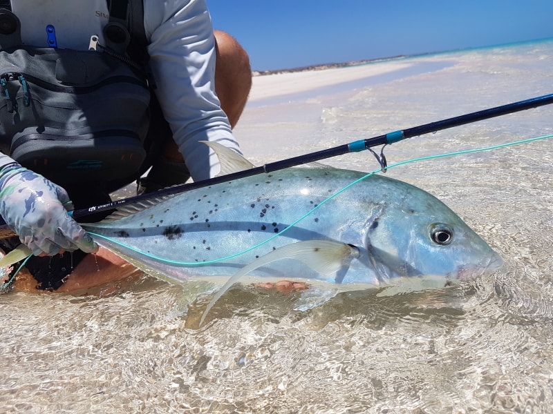 bonefish cuba feuerstein