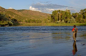 files/ffi/pictures/Dest/USA03/Snake/heisebridge.jpg