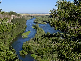 Fly Fishing Snake River (ID)