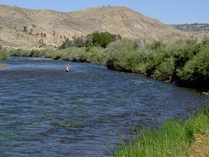 Fly Fishing Beaverhead River