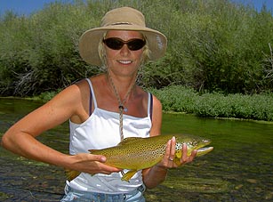 files/ffi/pictures/Dest/USA03/bfbibeaverhead.jpg