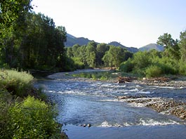 files/ffi/pictures/Dest/USA03/bigwood1.jpg