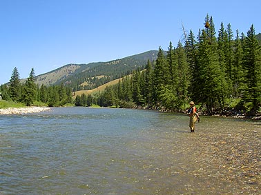 Fly Fishing Gallatin River