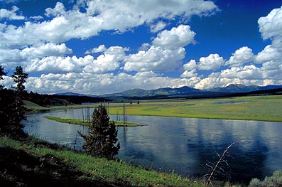 files/ffi/pictures/Dest/USA03/haydenvalley.jpg