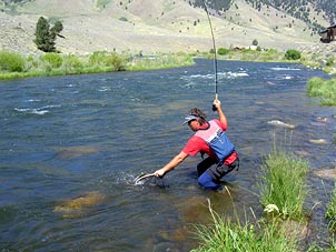 Fly Fishing Madison River