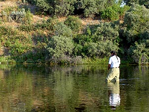 files/ffi/pictures/Dest/USA03/rogerfishing.jpg