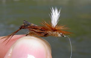 files/ffi/pictures/Dest/USA03/schroederhopper.jpg