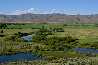 Fly Fishing Salmon River