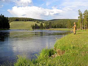 Fly Fishing Yellowstone River